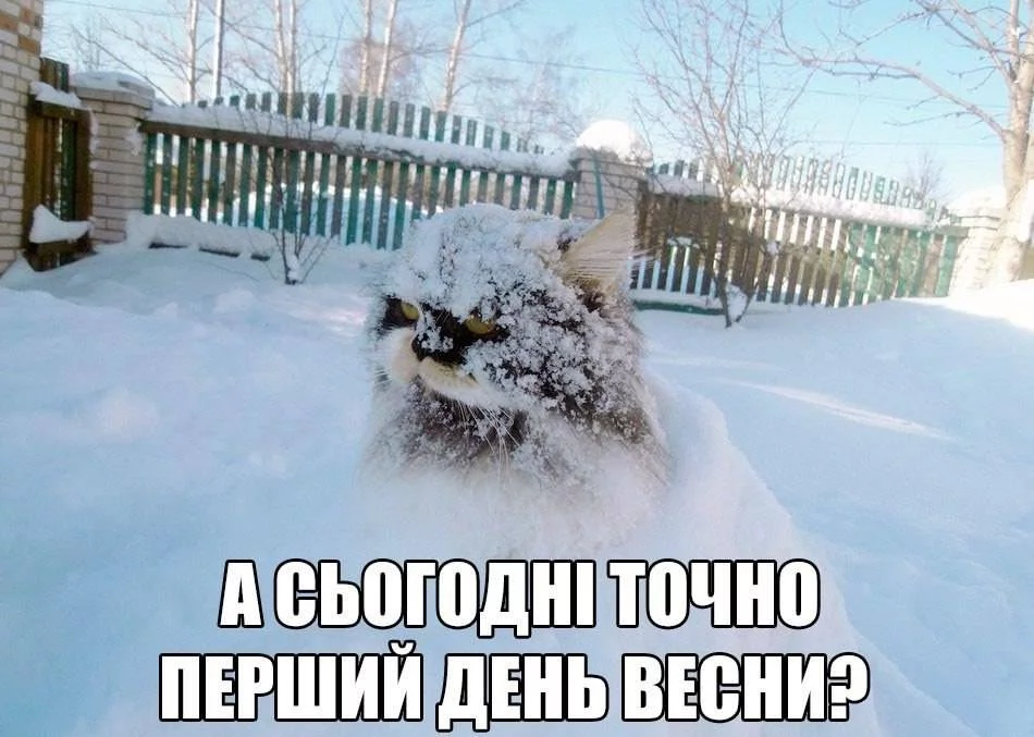a1acda.webp