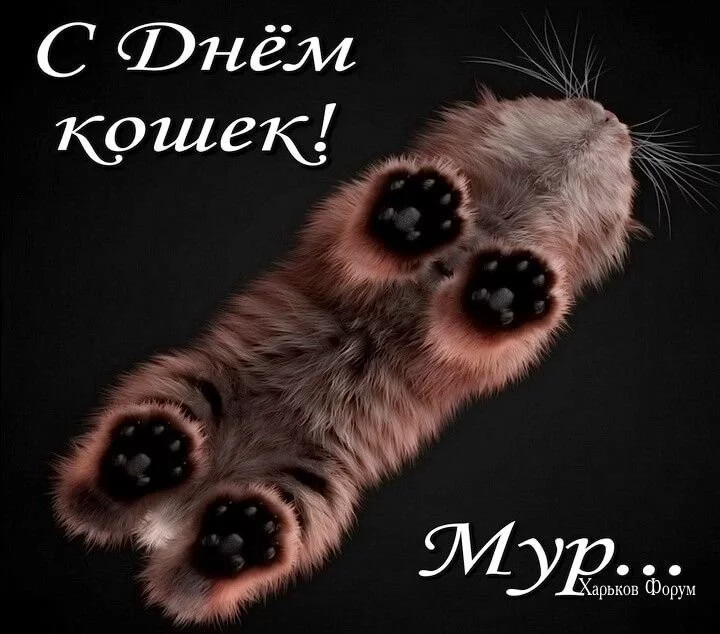 a1d07f40c73e1e31b.webp