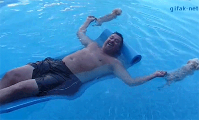 a1dfdf.gif