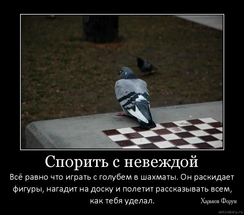 a1e2078e5f6160aa.webp