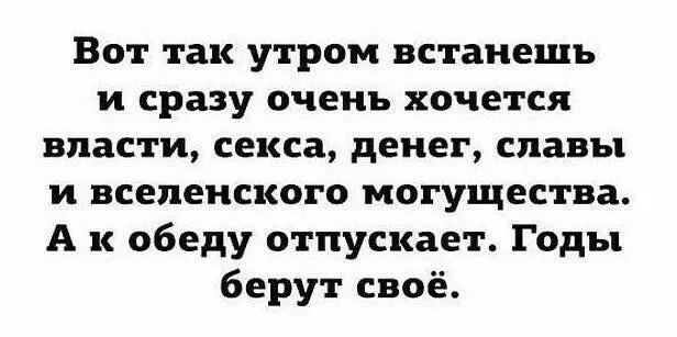 a1e75337bf24f1f5449.webp
