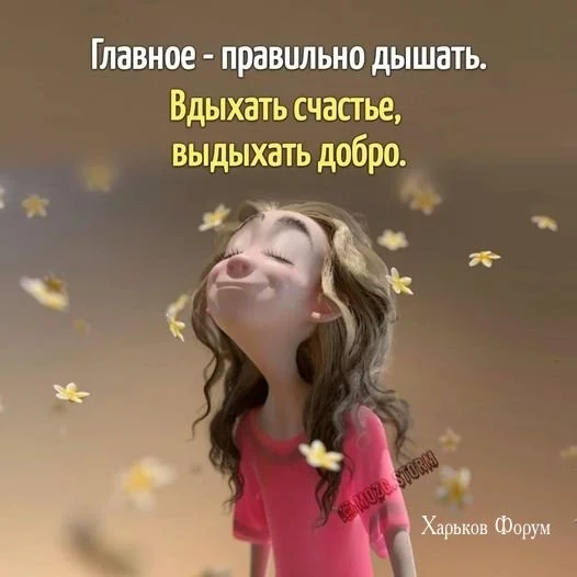 a1e83c2aad58337203ae6b11.webp