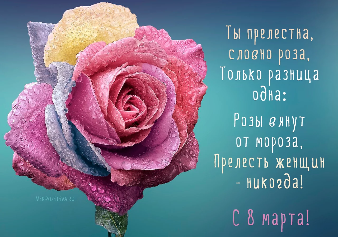 a1efec.webp
