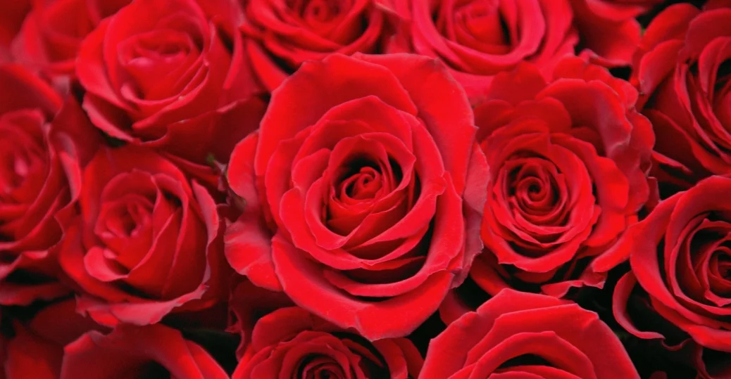 a1fdde.webp