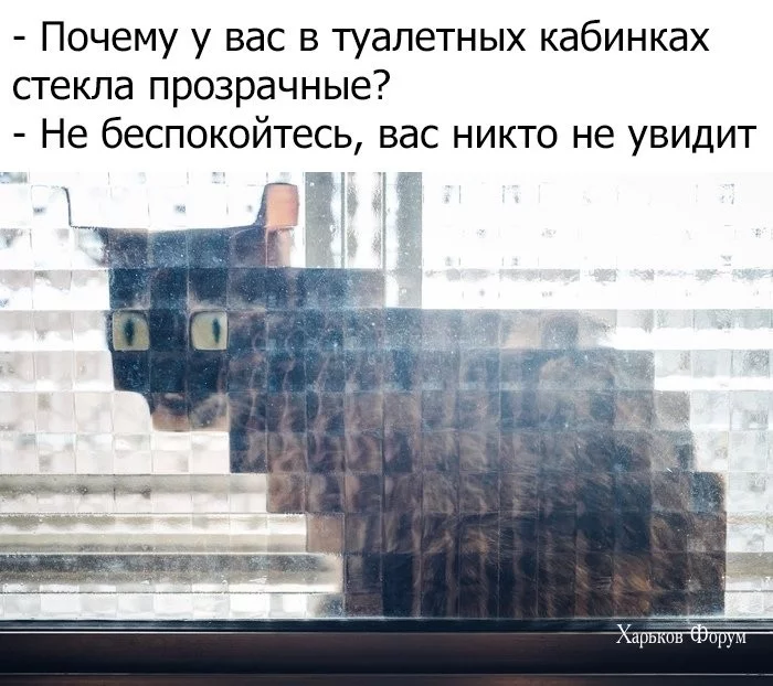 a1ffa0a3c4ec12c43b96b.webp