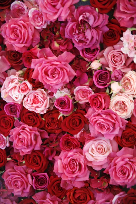 a1hbee.webp