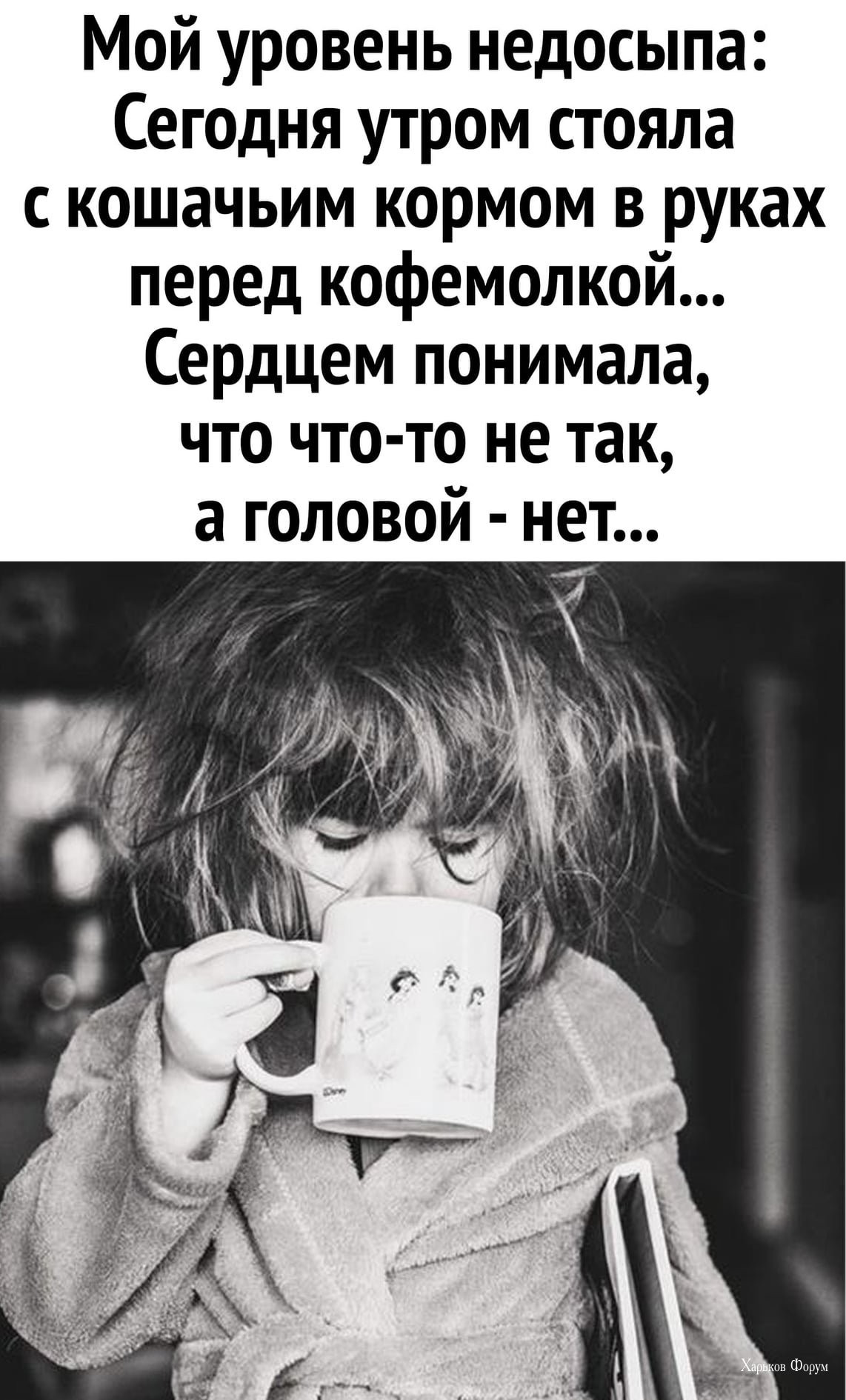 a2320fb57c35a26b.jpg