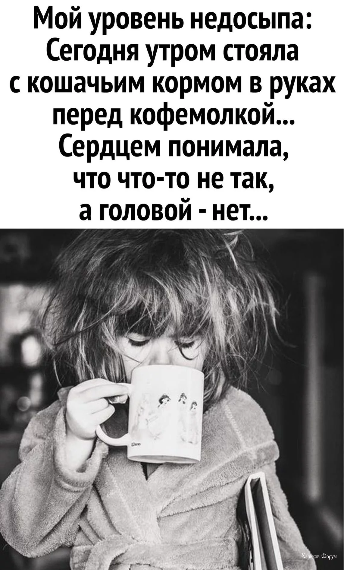 a2320fb57c35a26b.webp