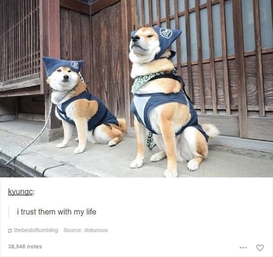 a23a11d5c555a688006d.jpg