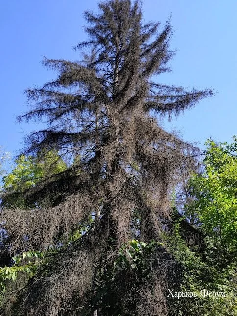 a24f26471ebf89757.webp