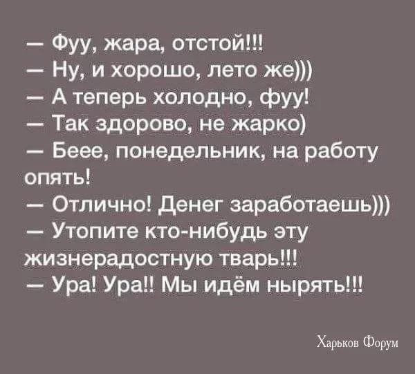a256d888eecff210958b58f.webp