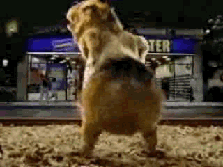 a25e52d63760876898fee9c651329329.gif