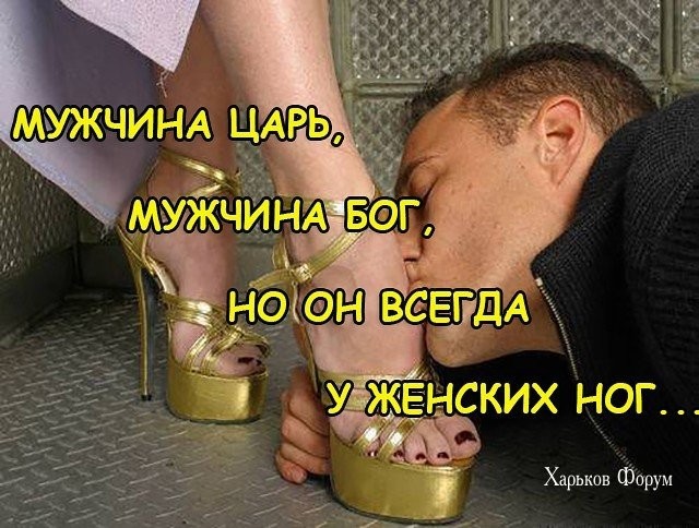 a277f8e92345ebd3407a4.jpg