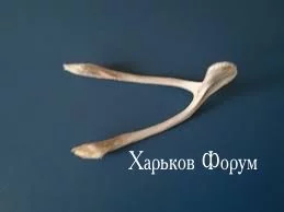 a27b40a3c376321329f5180.webp