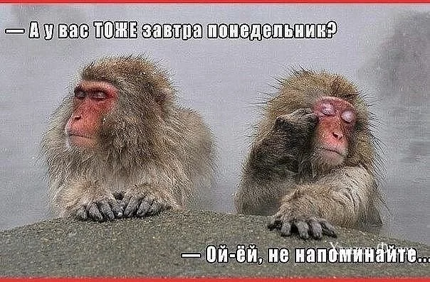 a2849223d24b2f9e691ffabb.webp