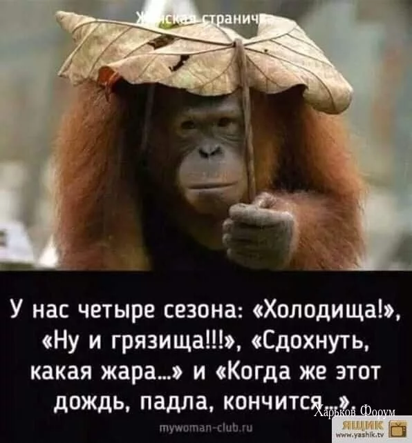 a2b34082dd3f918e3.webp