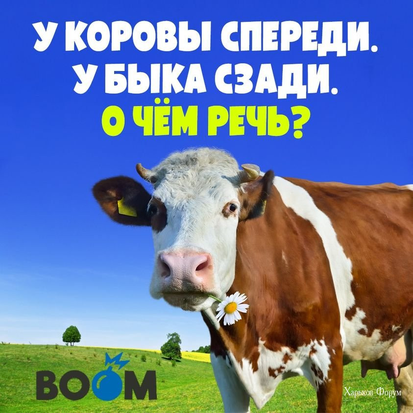 a2b3c5fd06e8a47d9c.jpg