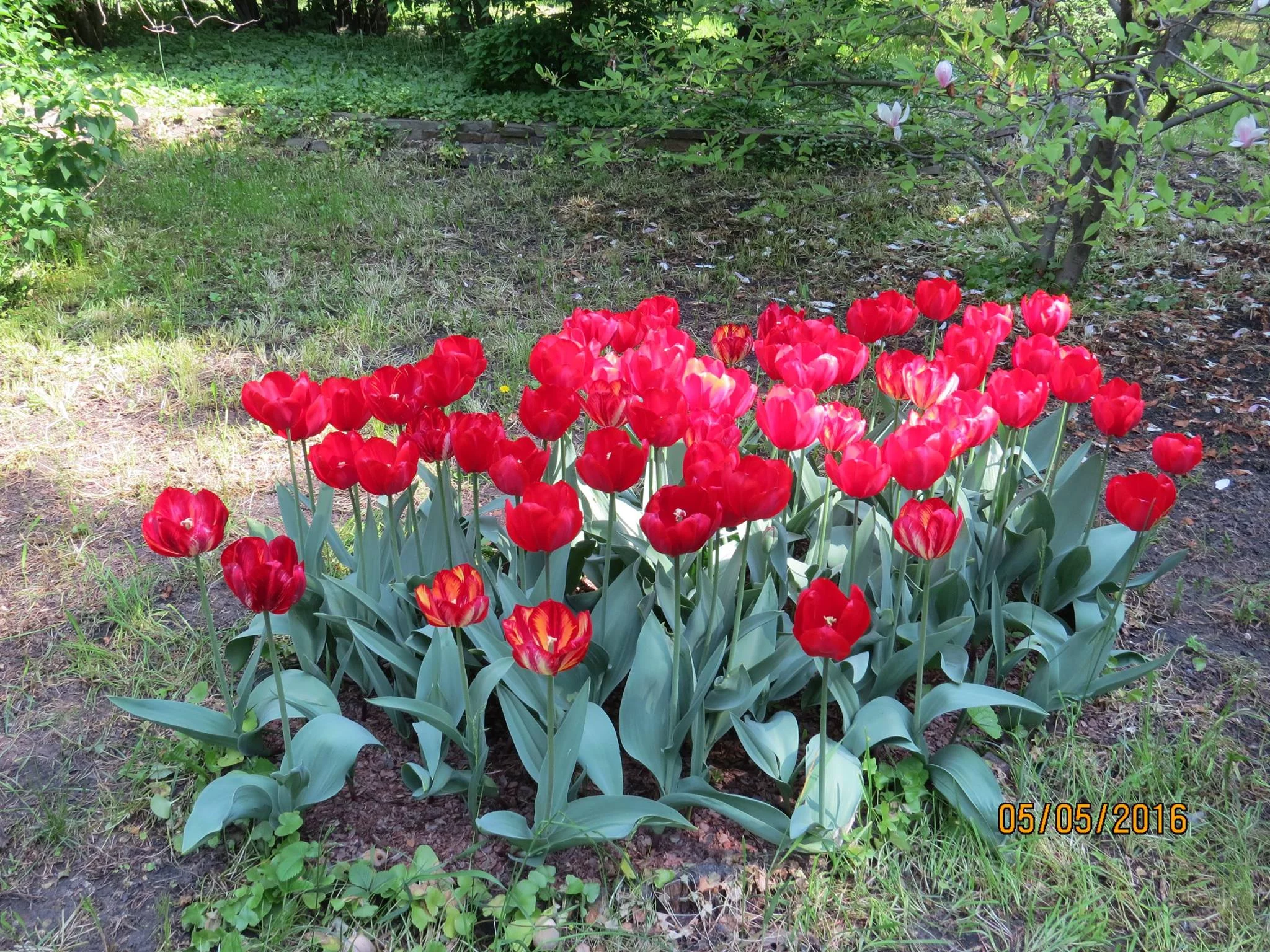 a2bfcb.webp