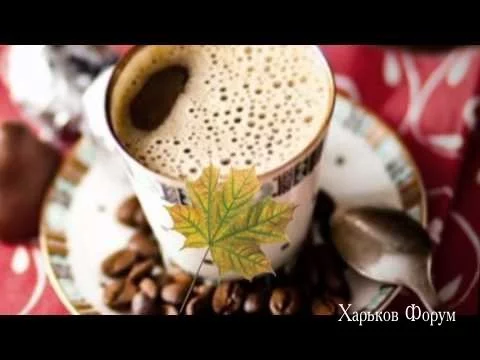 a2d06b69c813c6012d7ea91.webp