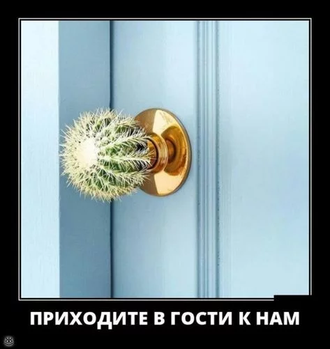 a2ecc45d2845445363ff107de5183843.webp