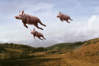a2ejfe.gif