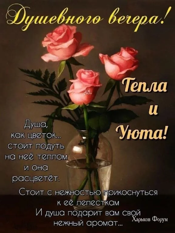 a3088e91c78fb4162bdd53.webp