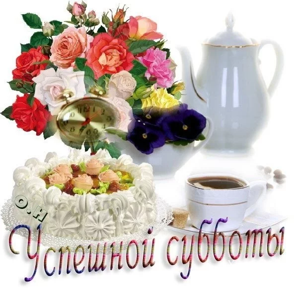 a313a43a56ed5ba3b663dc.webp