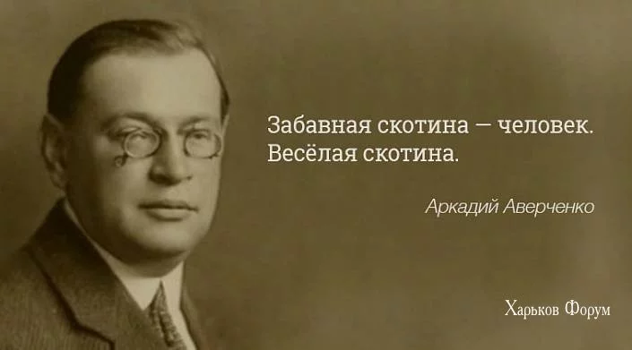 a3144229daed0109.webp