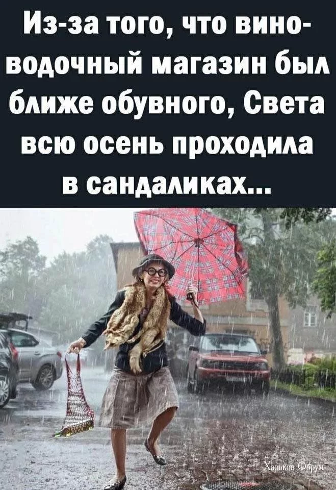 a332aa1dcb936069d.webp