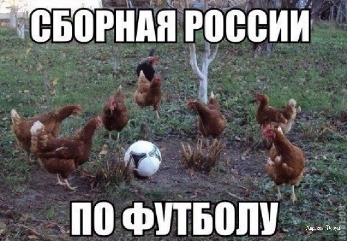 a34a515eecf24227b33bc.webp