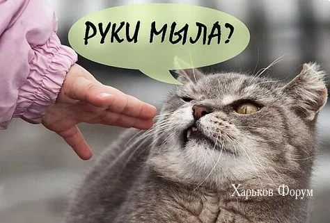 a369f329c4e94d1deef0.webp