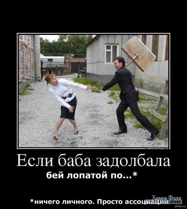 a37d53f3760dc535273a02.webp