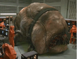a38c52f3bd20e596e29c21a.gif