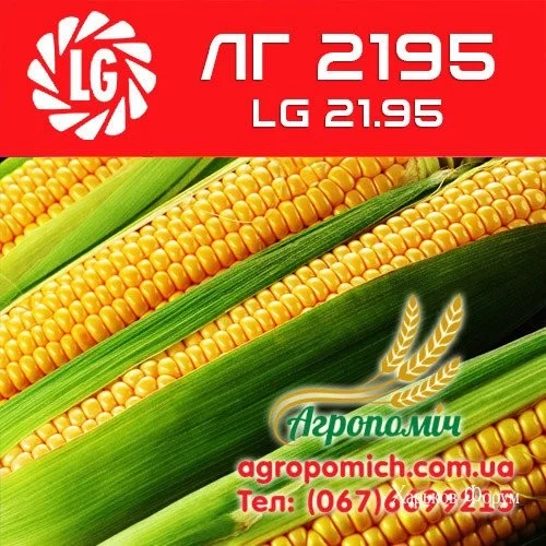 a39c7a651b100d044ef18bf.webp