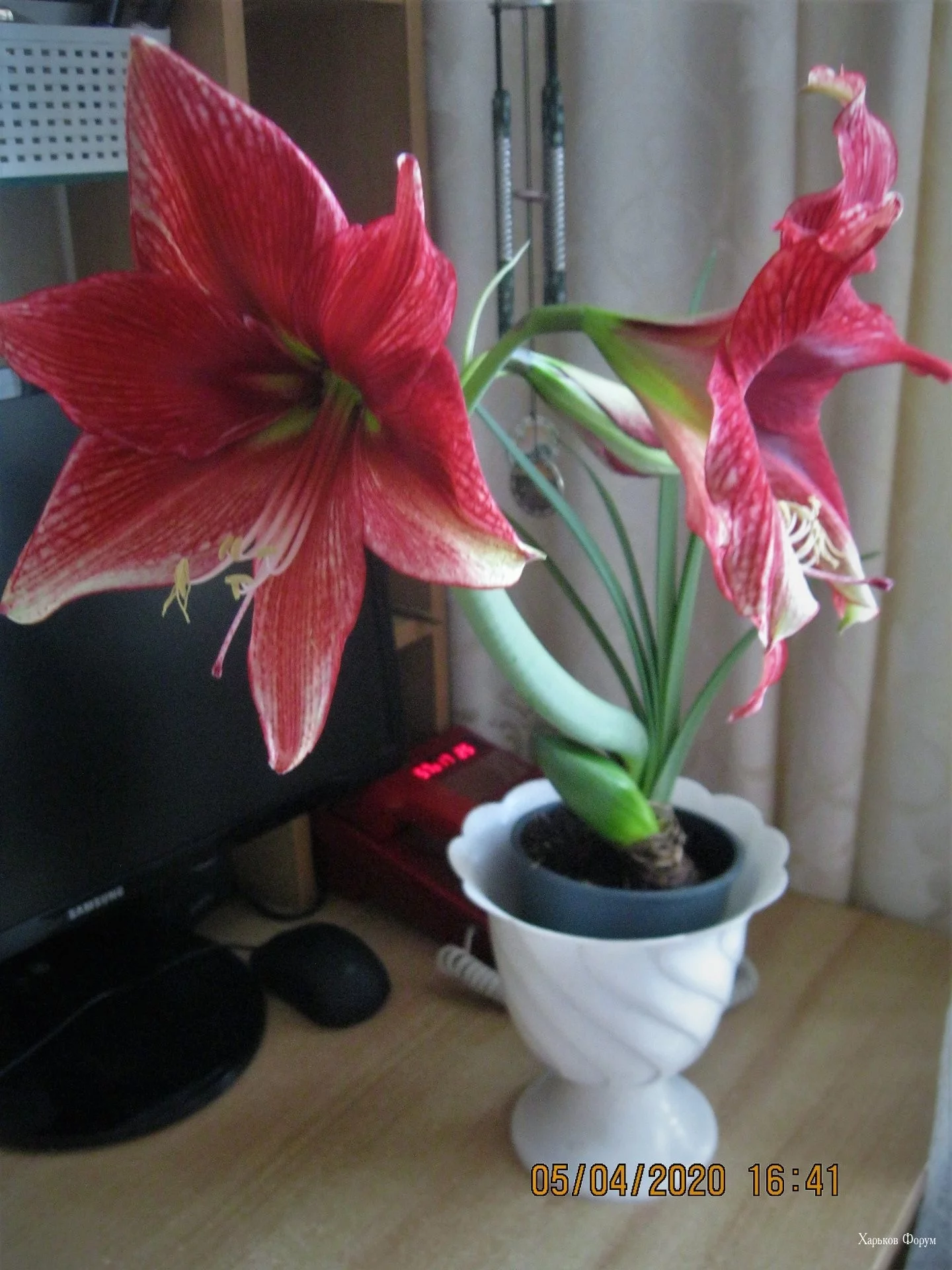 a3ab19eaadafa1490.webp