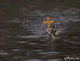 a3adae.gif