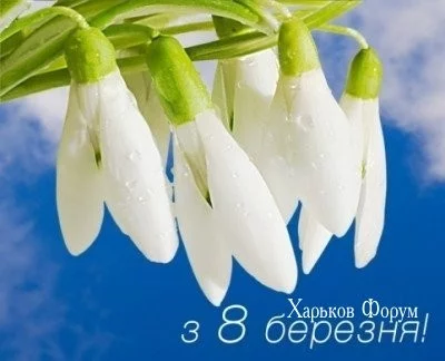 a3d34e35c62cd6f9.webp