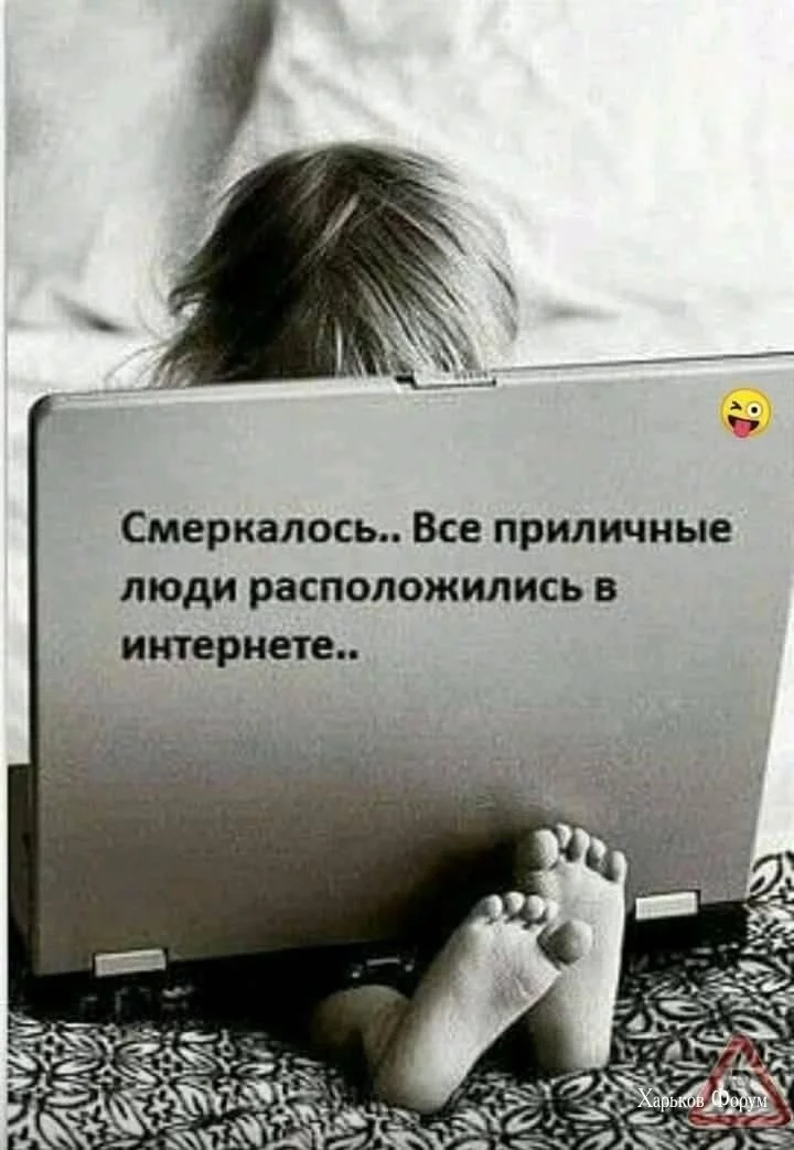 a3dcd4167af4d93ff6.webp