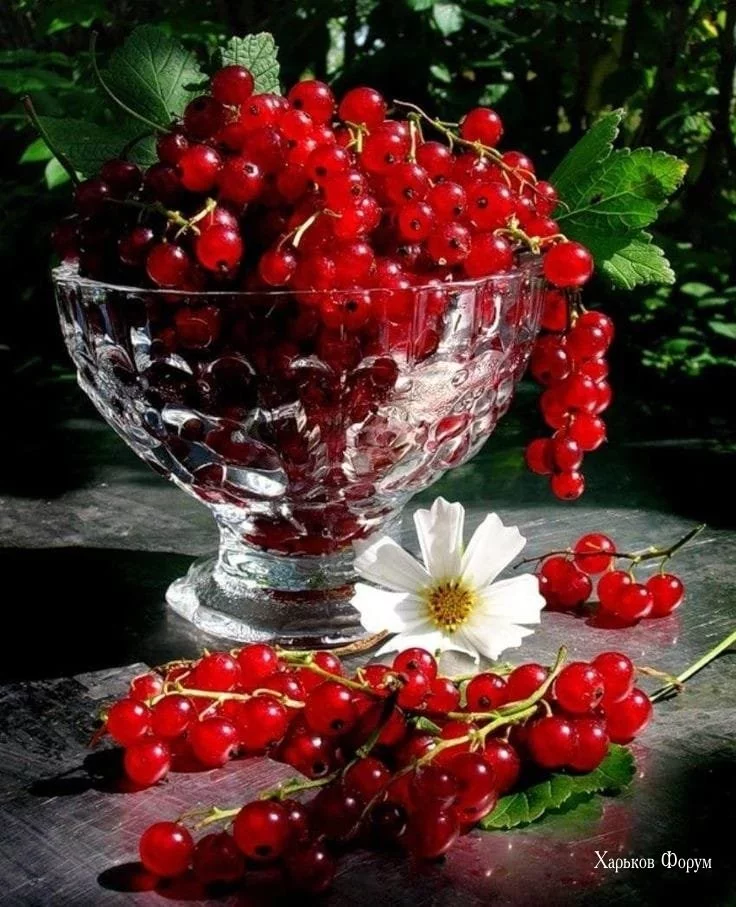 a3e56899152899672f.webp