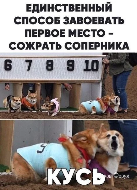 a3e7d40b280aba49aec3526.webp