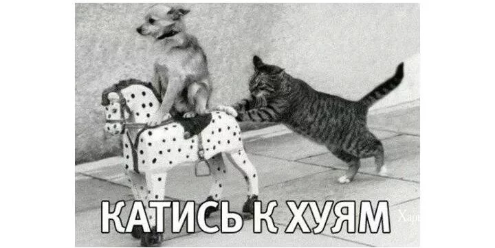 a3f1f17684d117477d69.webp