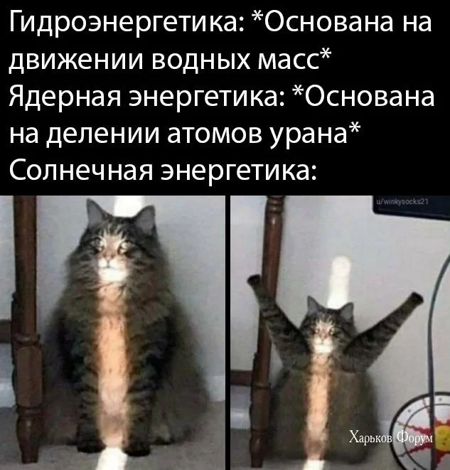 a3fff21b933ba5f4c5e69.webp