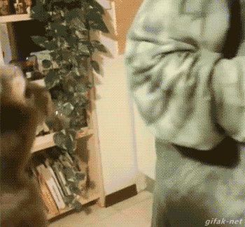 a3jdcf.gif