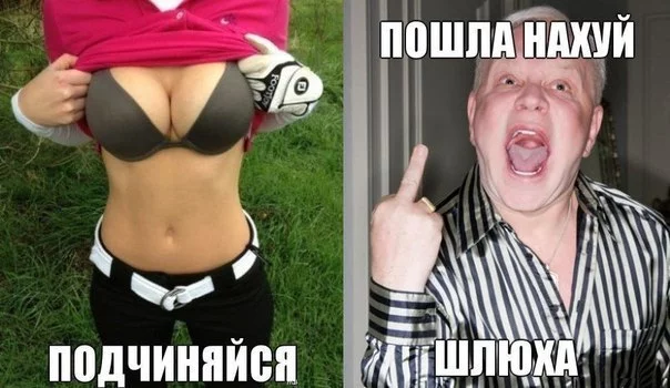a3K1uyqV8xU.webp