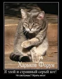 a4023756a83ef67d5d7.webp