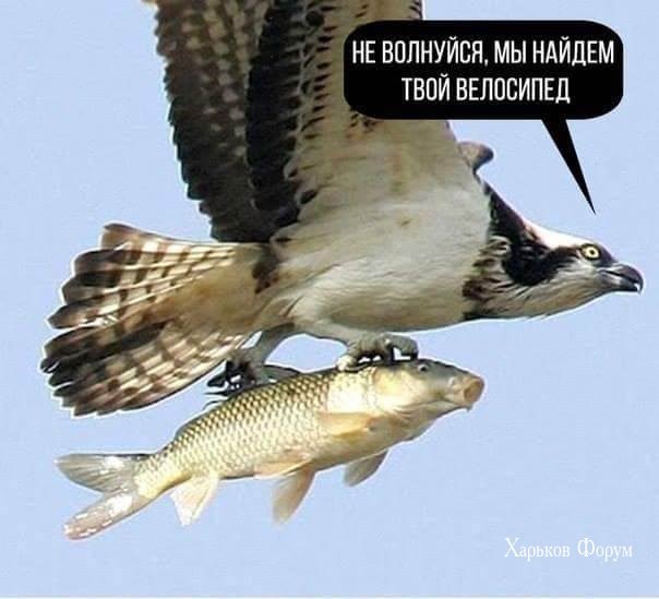 a40cfdbcfe5da7a7e.jpg