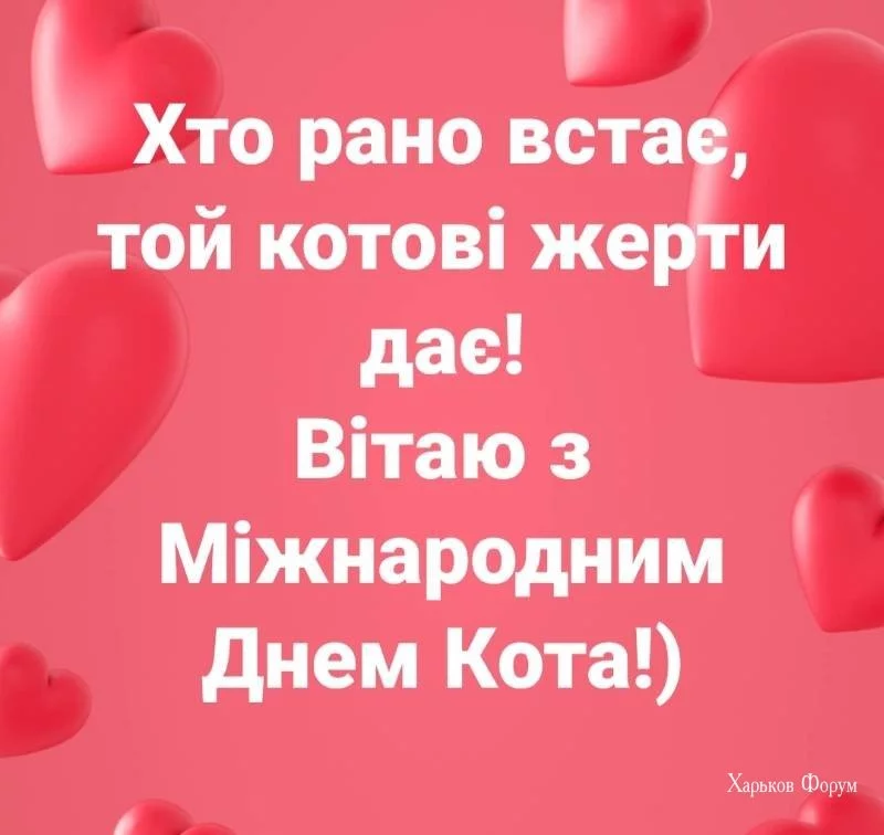a42b4d0e8d8b395b6.webp