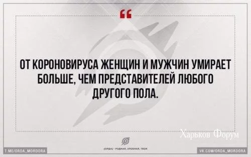 a430d85e92eb29114a9fff2d.webp