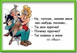 a436e44445a22c76.webp
