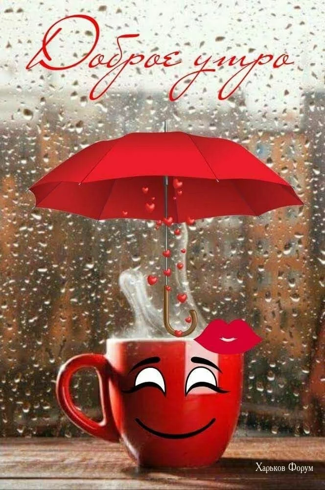 a44fba46de8cc5a5c4.webp